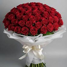 Букет 101 Красная роза Блэк Мэджик в Сараи