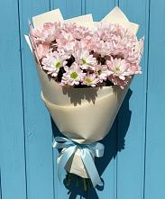 Букет цветов из:  Хризантемы в Сараи