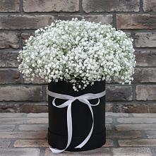 Цветочная композиция из Гипсофила в шляпной коробке в Сараи