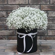 Цветочная композиция из Гипсофила в шляпной коробке в Сараи