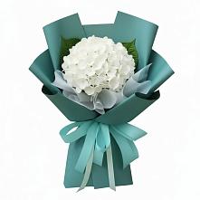 Букет цветов из:  Гортензия в Сараи